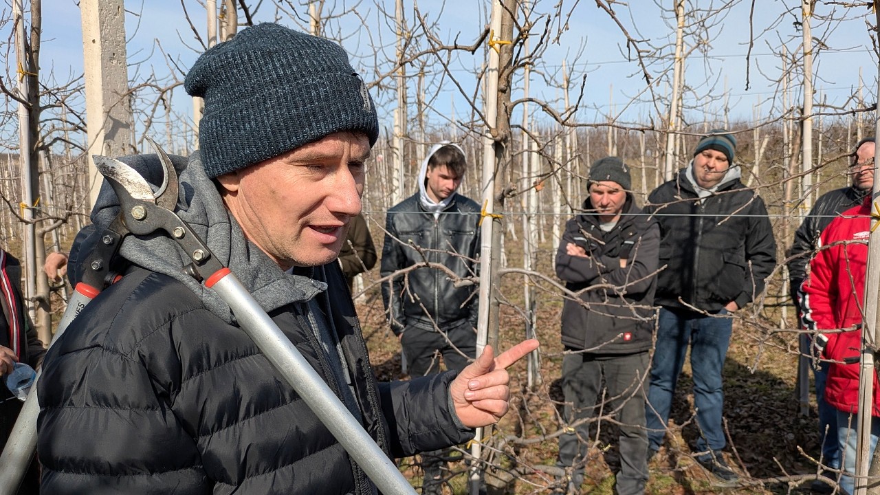 Pokaz cięcia Red Deliciousa w Samborcu – Marcin Piesiewicz