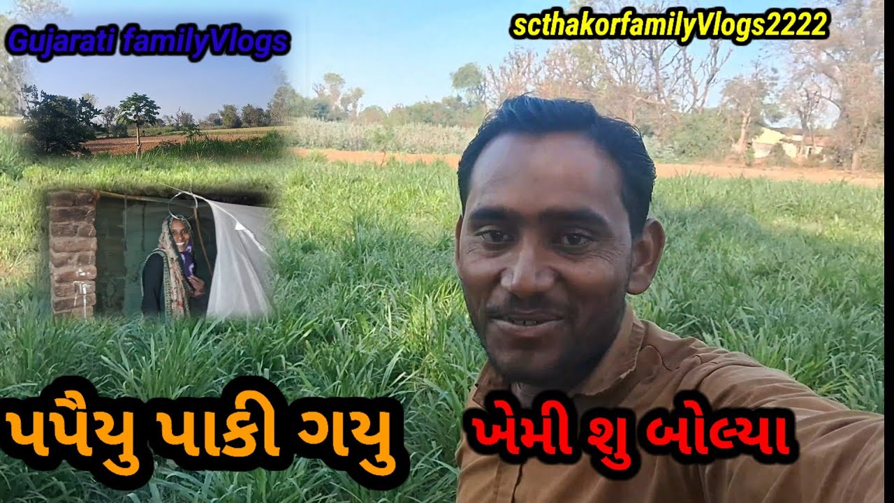 પપૈયુ પાકી ગયુ  ખેમી શુ બોલ્યા ||viralvideo ||scthakorfamilyvlogs2222 ||gujaratifamilyvlogs 