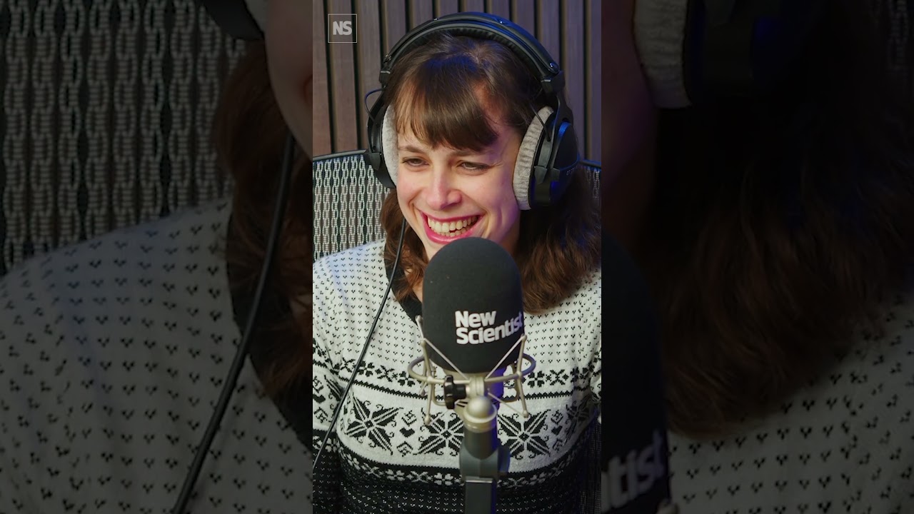 Доказывает ли новый квантовый компьютер Google существование мультивселенной? 🖥️🤔