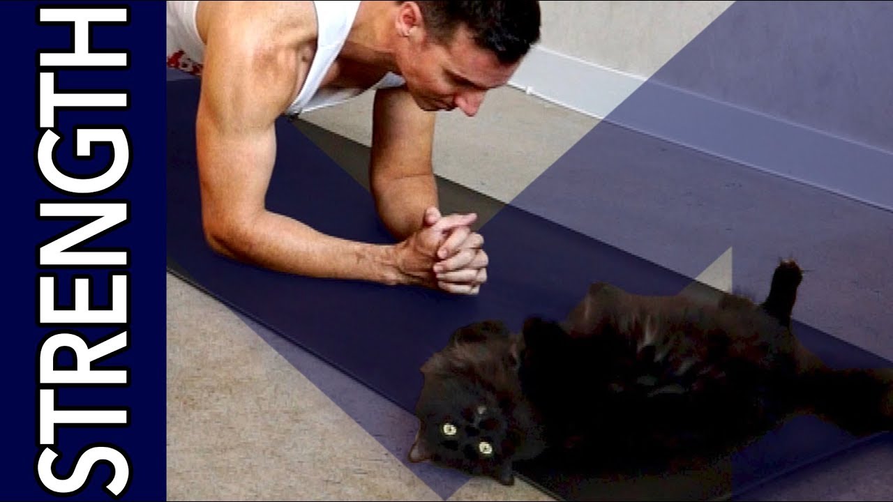 Strength: Abs