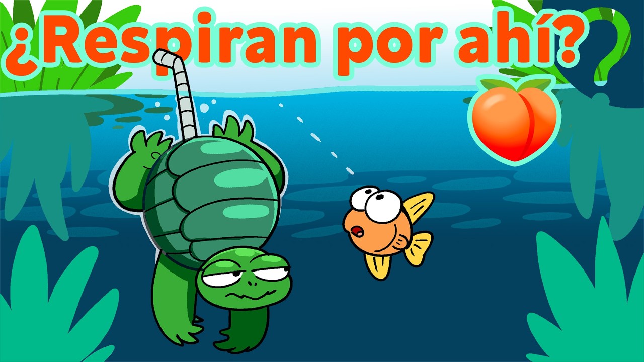 13 datos curiosos sobre las tortugas 🐢