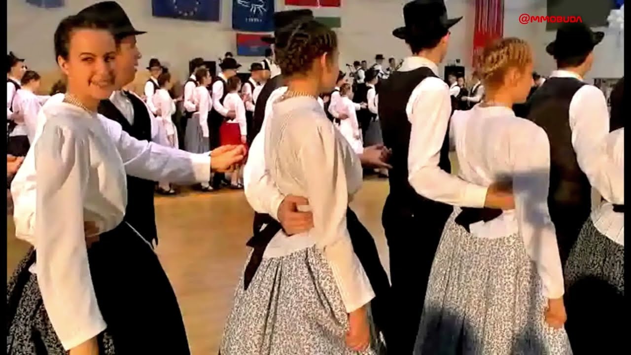 AUFMARSCH  SAARER TANZGRUPPE  GALA 2013SAAR