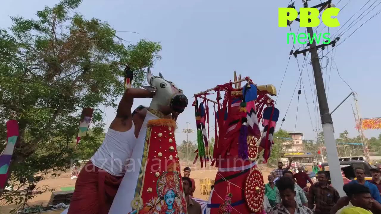 പഴയന്നൂർ കല്ലംപറമ്പ് വെട്ടിക്കളി കാവിൽ ഇന്ന് ഉച്ചാറൽ വേല ആഘോഷിക്കുന്നു