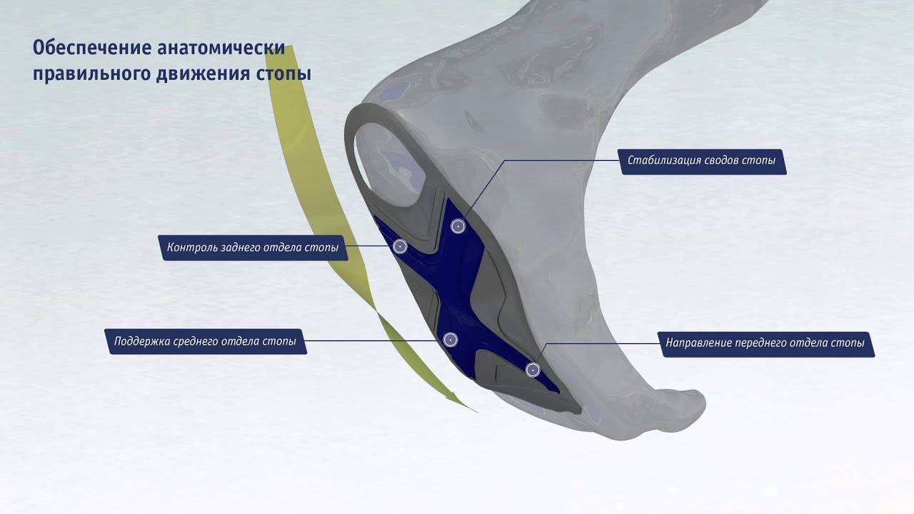 Bauerfeind: ergopad weightflex 2.