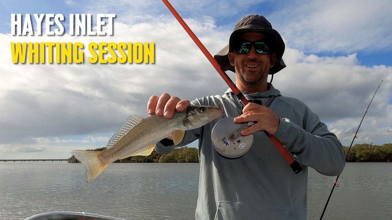 Brisbane Whiting Fishing