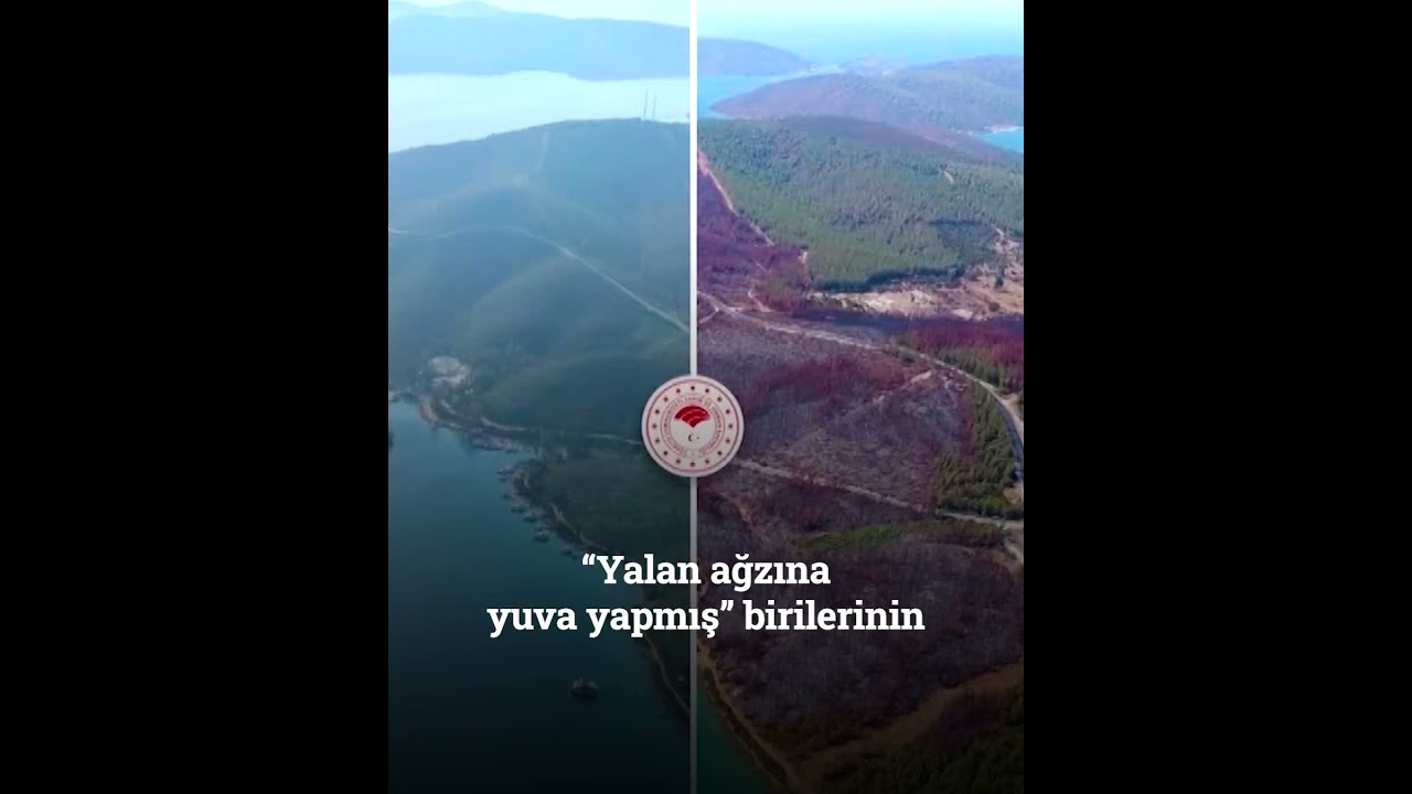 Yanan Ormanları Tohum ve Fidanla Buluşturduk
