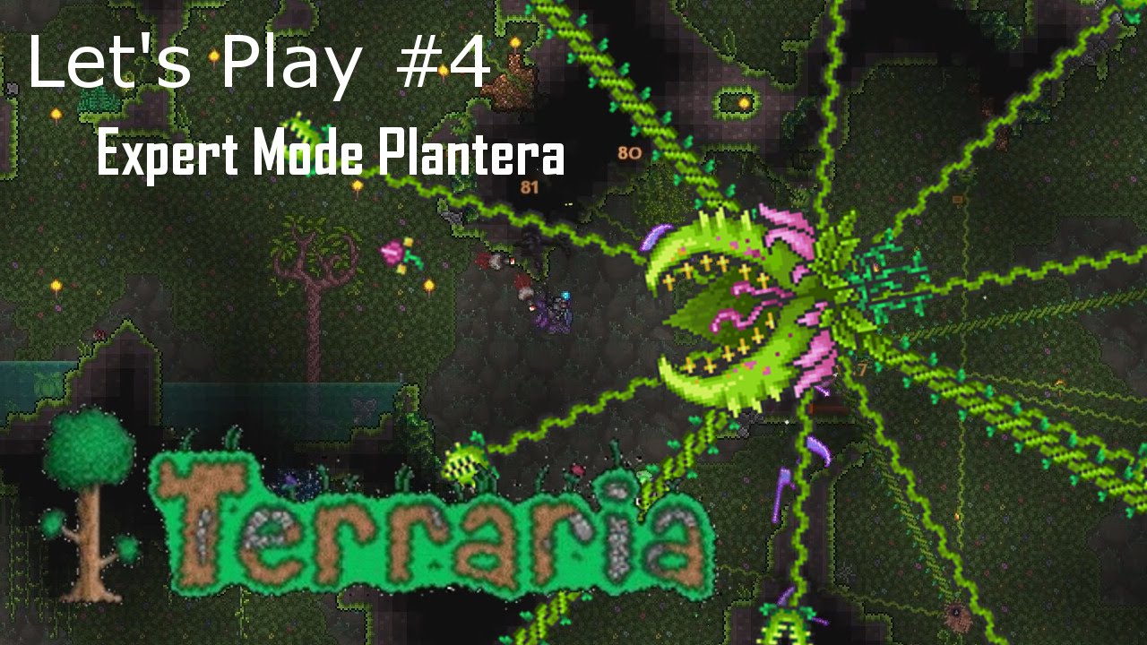 Terraria Let's Play - #4 Expert Mode Plantera