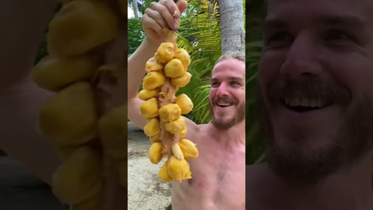 To najsłodszy owoc na ziemi!