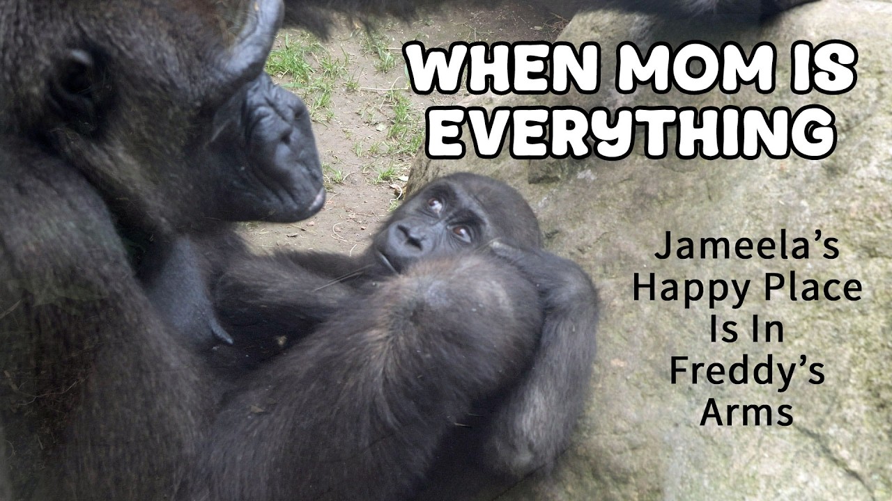 So Much Love - Then Jameela Does That to Freddy!
