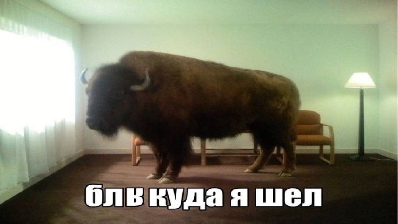 неухоженная кукуруза