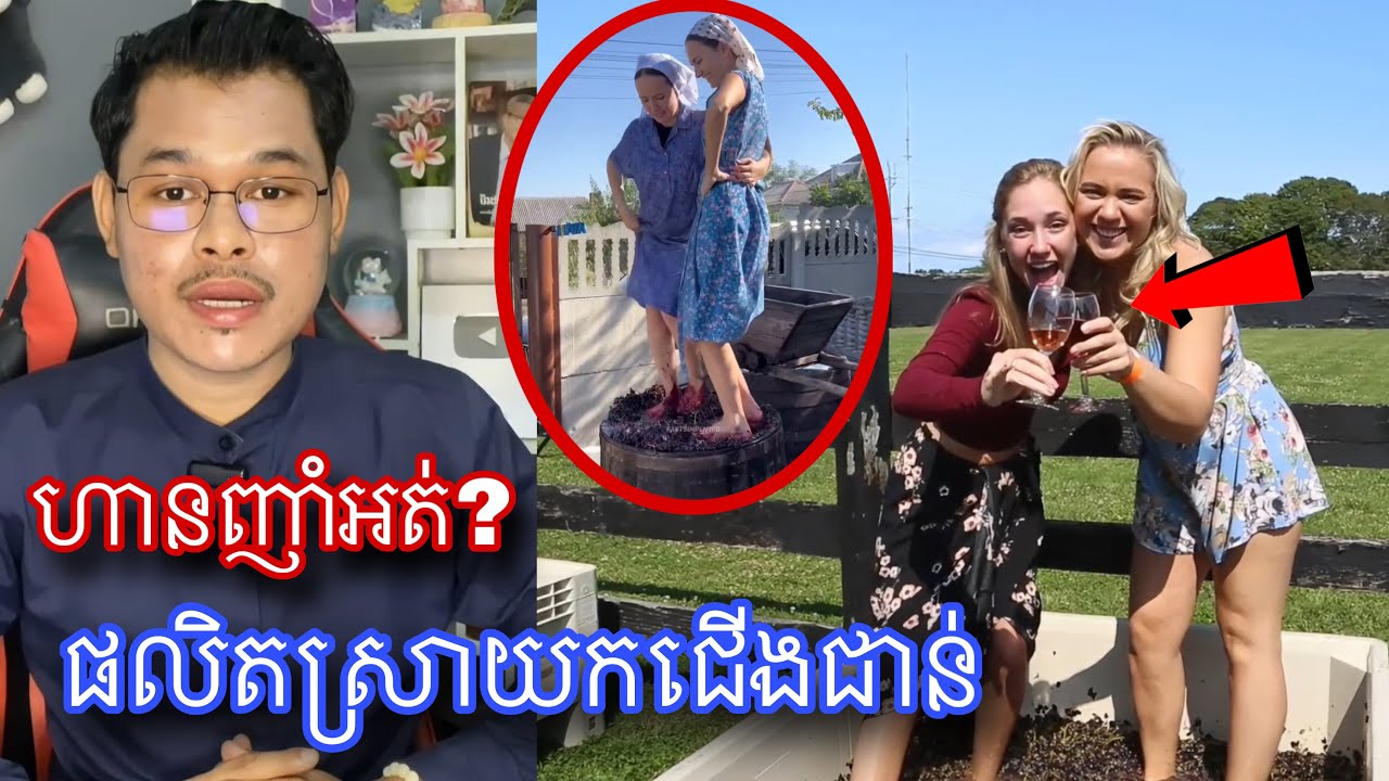 ប្រពៃណីផលិតស្រាទំពាំងបាយជូដោយការយកជើងជាន់ដែលពេញនិយមបំផុតនៅបារាំង l Mr.Veasna2