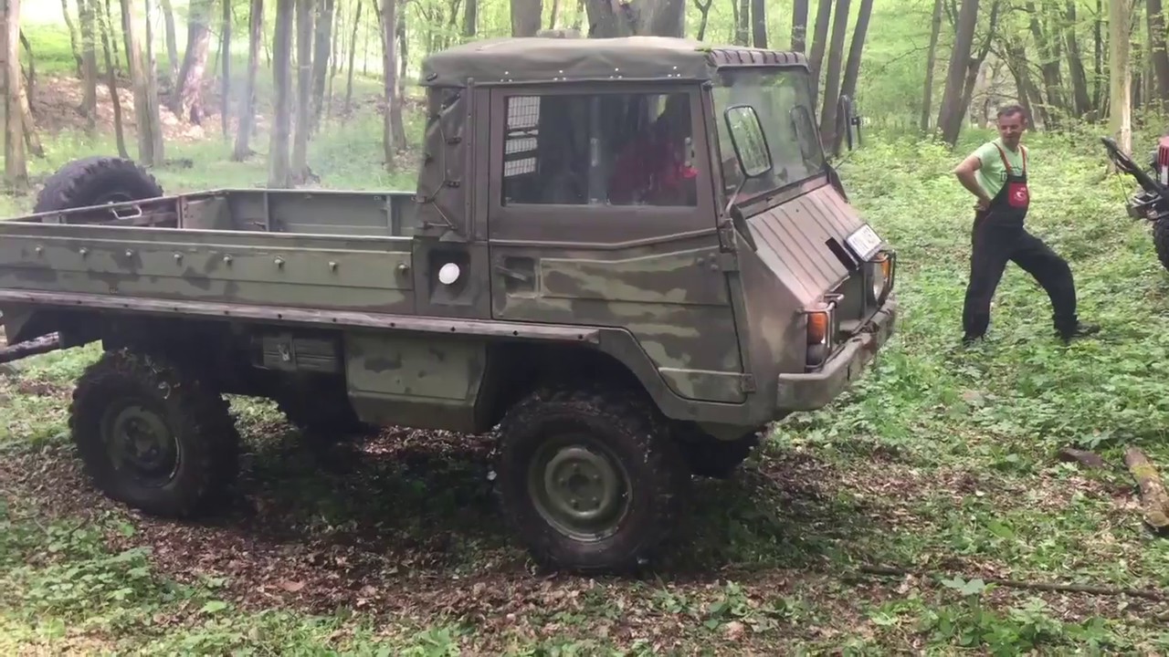 Pinzgauer 710M