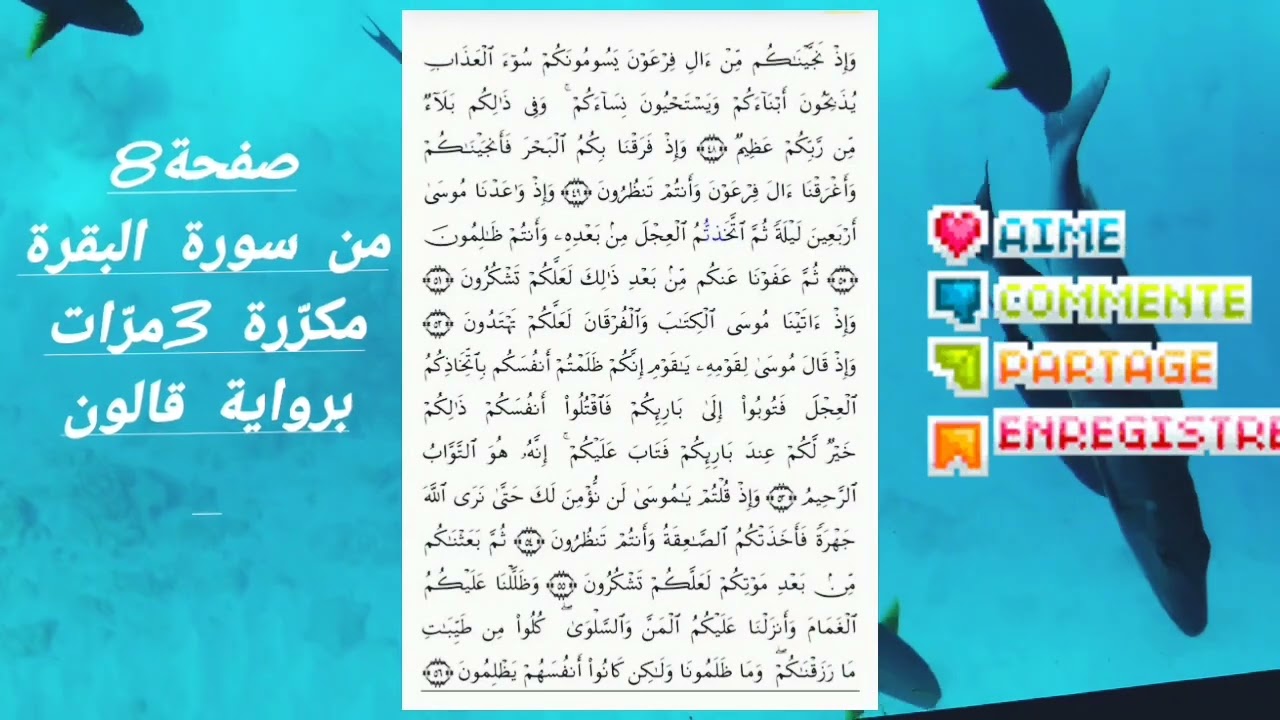 تكرار صفحة 8من سورة البقرة برواية قالون ،قراءة سريعة بداية من 