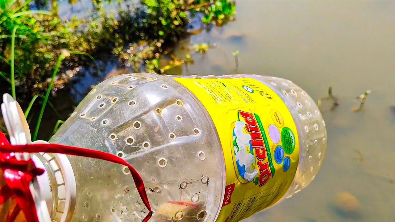 Amazing Fish Trap by Plastic Bottle | Catch Fish In The River by Plastic Bottle