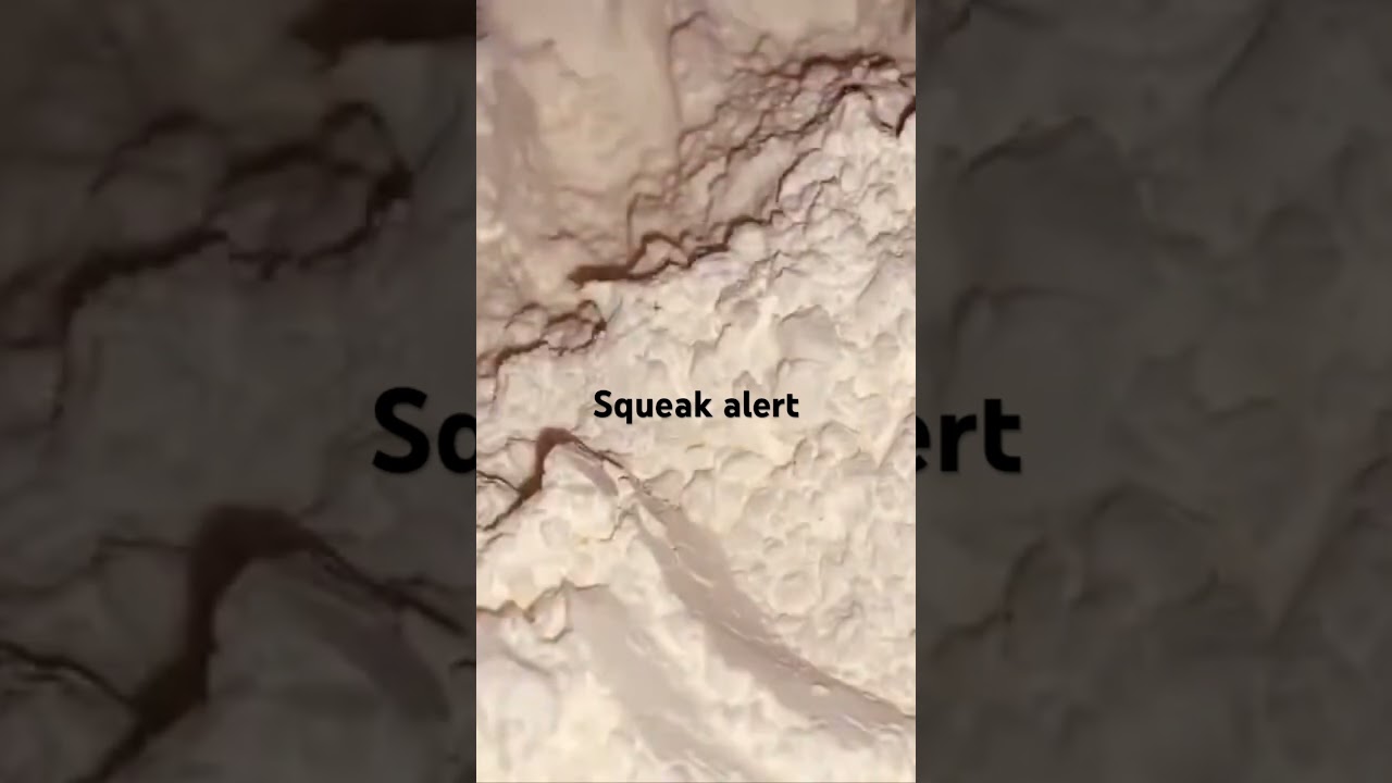 ASMR Aplastando Maicena Con Guantes Azules | Cornstarch SQUEAK ALERT 🌽 