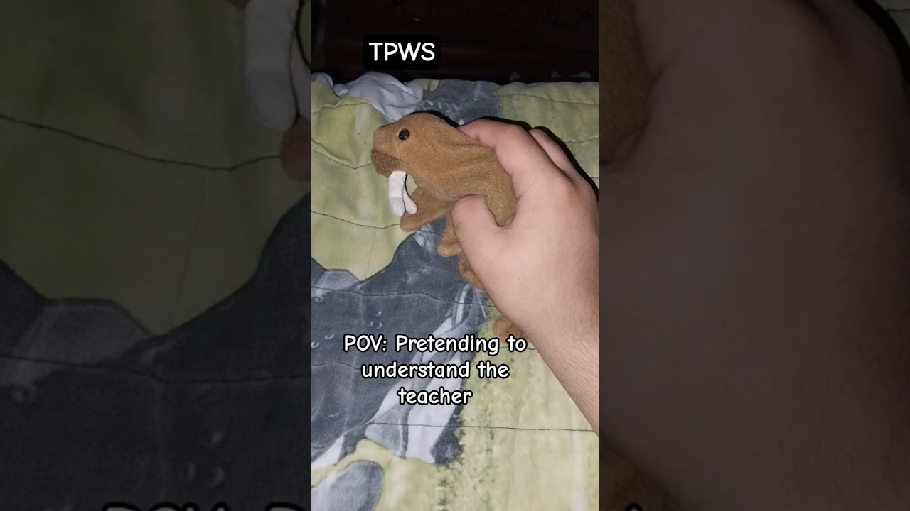 POV: Pretending to understand the teacher 