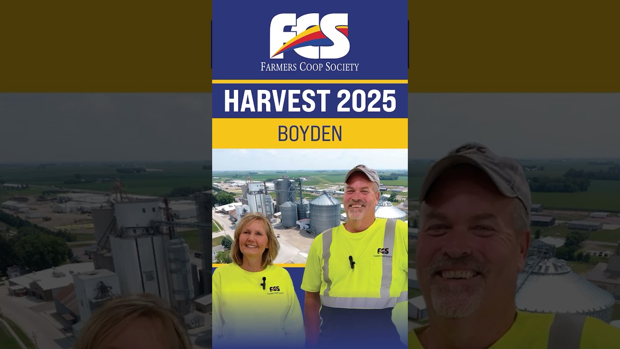 Harvest 2025: Boyden