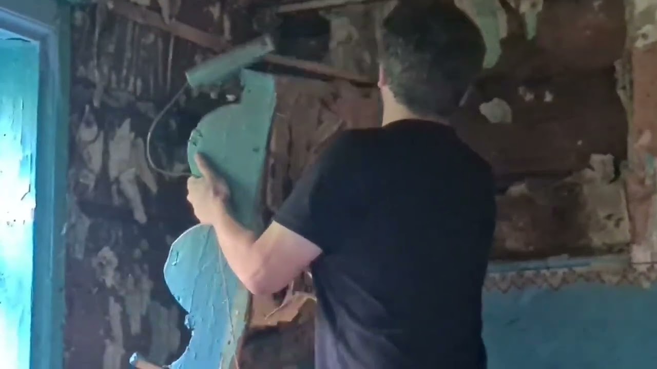 Купили ЗАБРОШКУ реставрируем и вьём гнездо