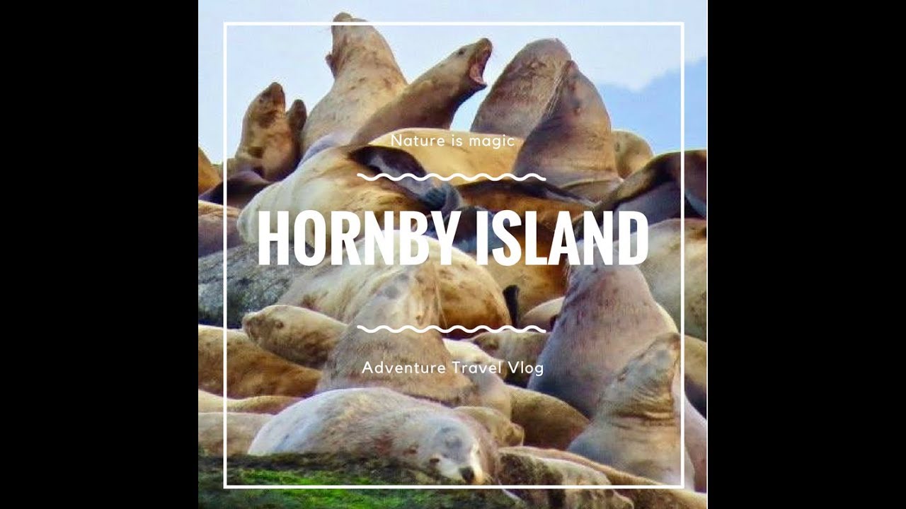Hornby Island Wildlife