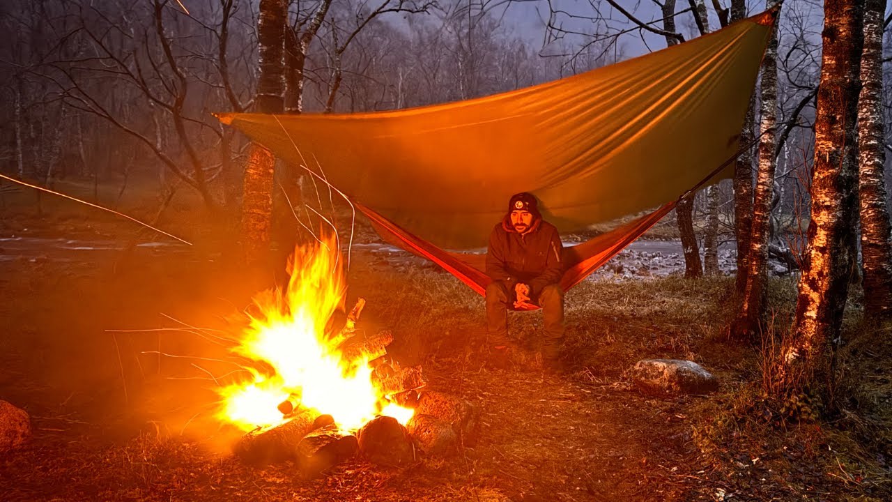 With me in the wild, Facing Nature&rsquo;s Challenges and Survival Tactics