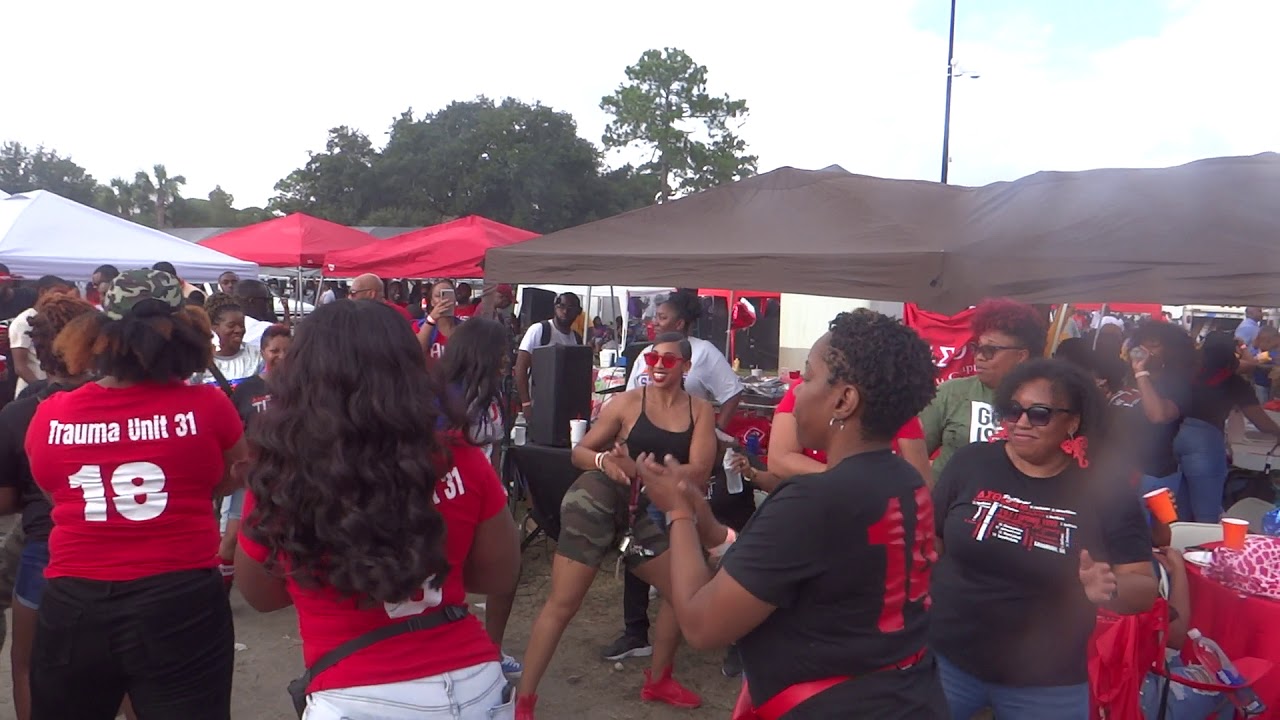 Delta Sigma Theta Savannah State University Homecoming 2k19