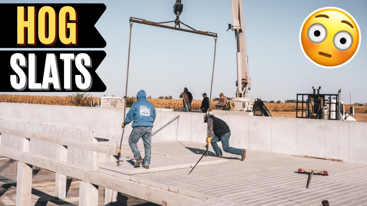 Laying Slats For Our New Hog Barn..