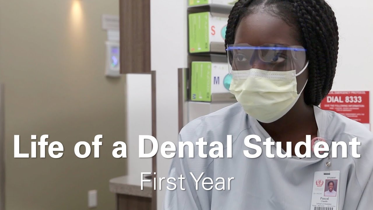 Life of a First Year Dental Student - Claudie & Daniel