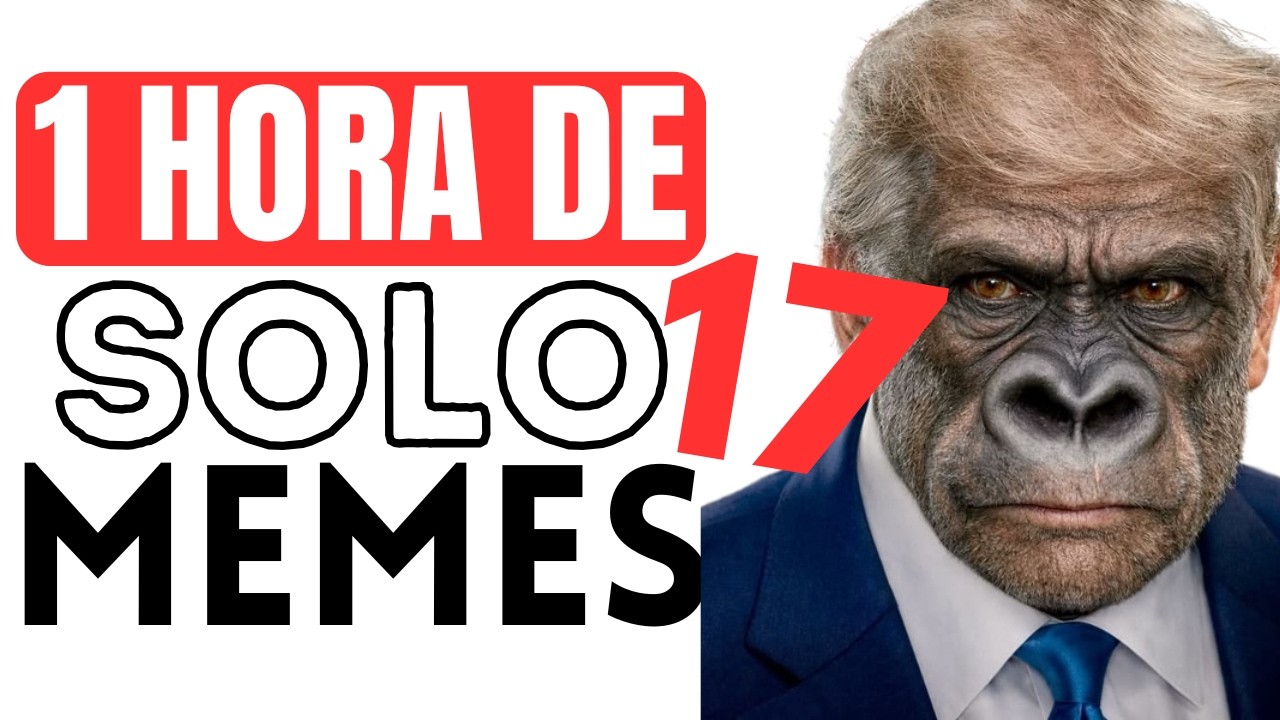 1 HORA de SOLO MEMES #17
