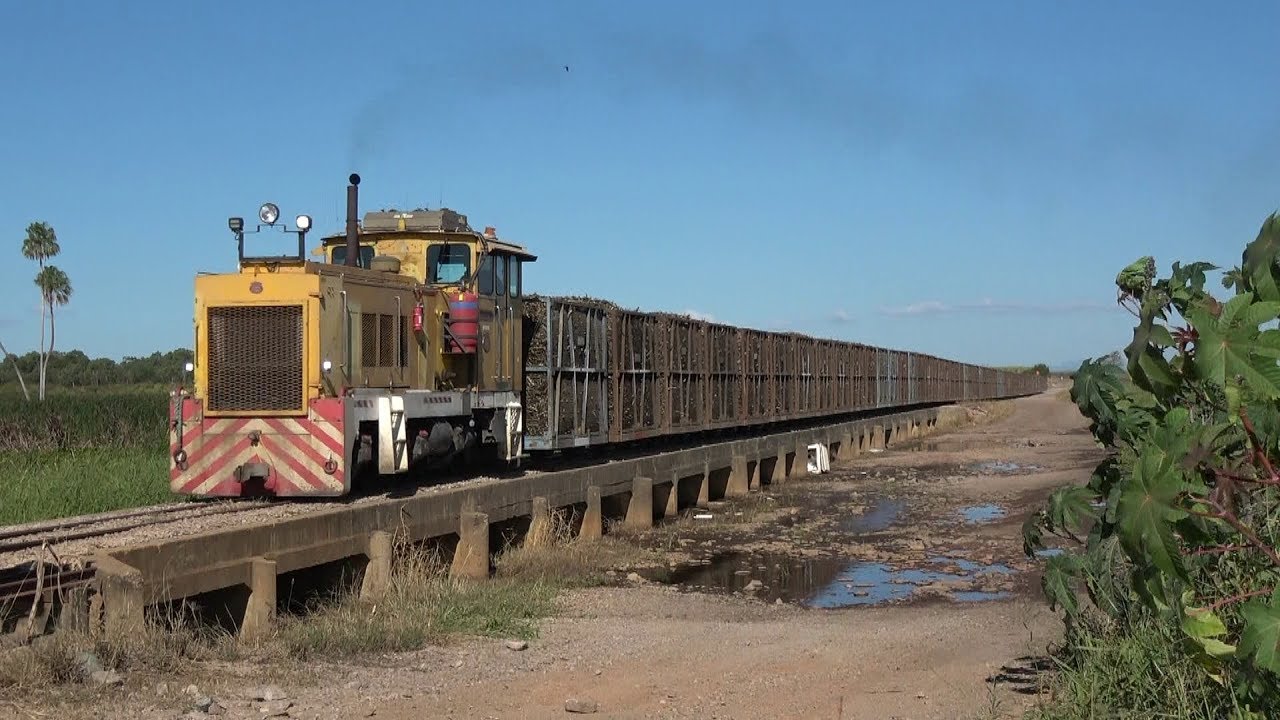 Queensland Sugar Cane Railways Kalamia Mill