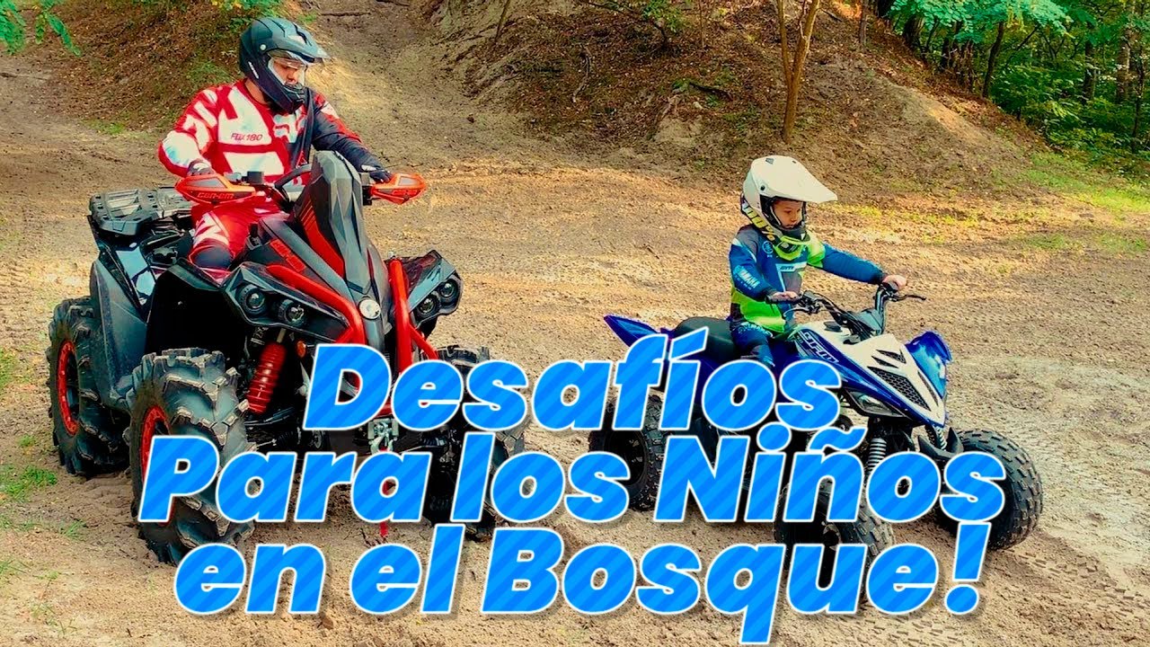 Den se quedó atrapado en su Coche en el Bosque! | Desafíos en el Bosque!