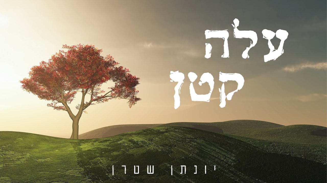 עלה קטן - ווקאלי  - יונתן שטרן |  Ale Katan - Yonatan Stern A Capella
