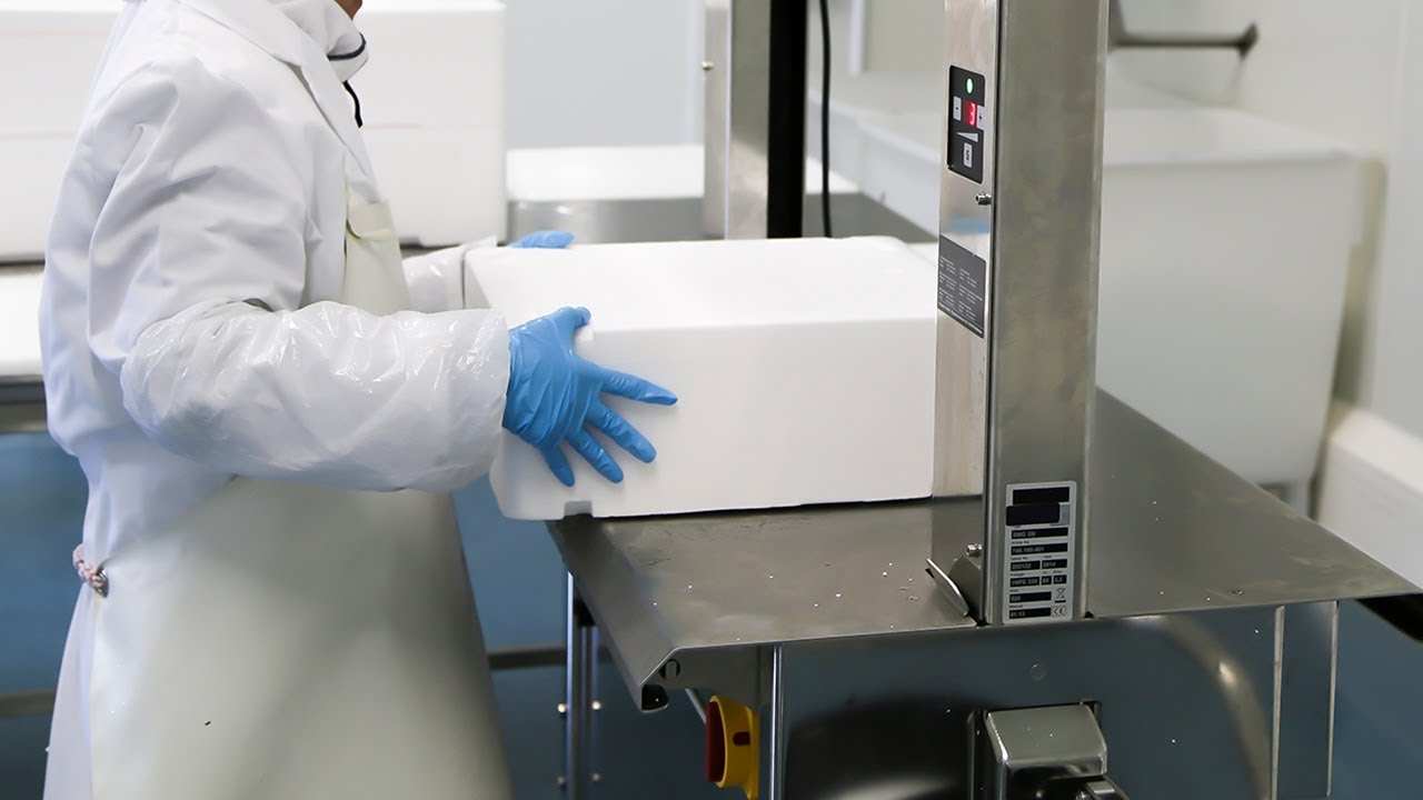 SGP Series SIGNODE Steinless Steel Machines for the Fish Industry