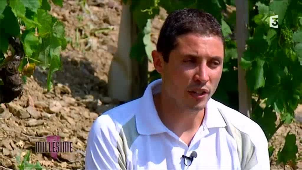 Millésime : balade en vallée du Rhône (émission du 21 juin 2015)