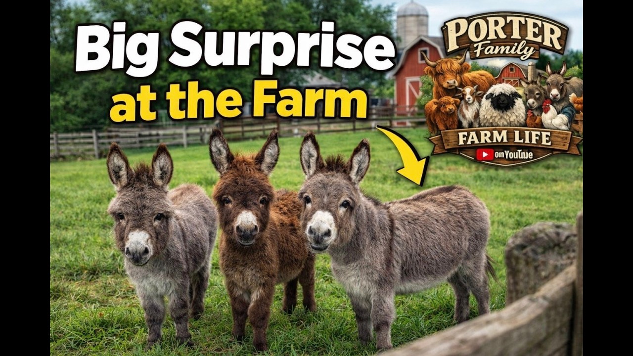 Surprise at the Farm this weekend!!!