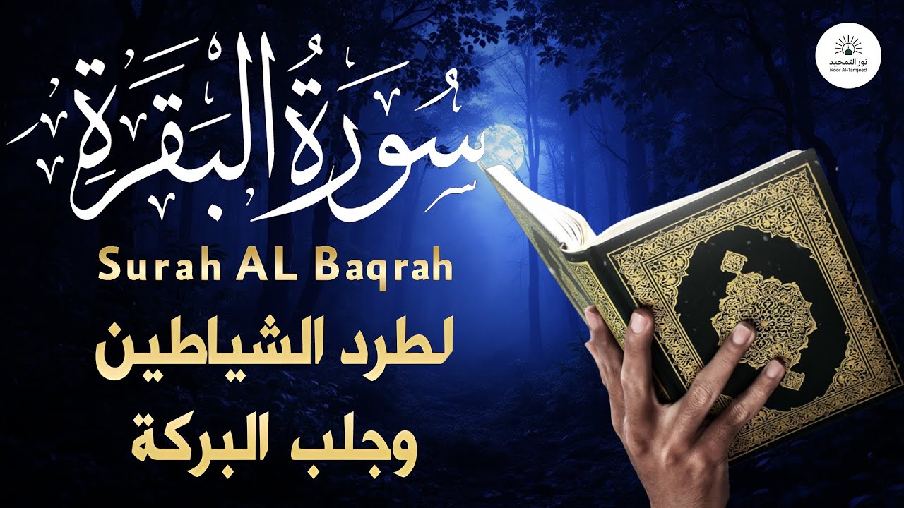 سورة البقرة _ قران الصباح و المساء لحفظ وتحصين المنزل وجلب البركة | Sourah Baqara quran karem