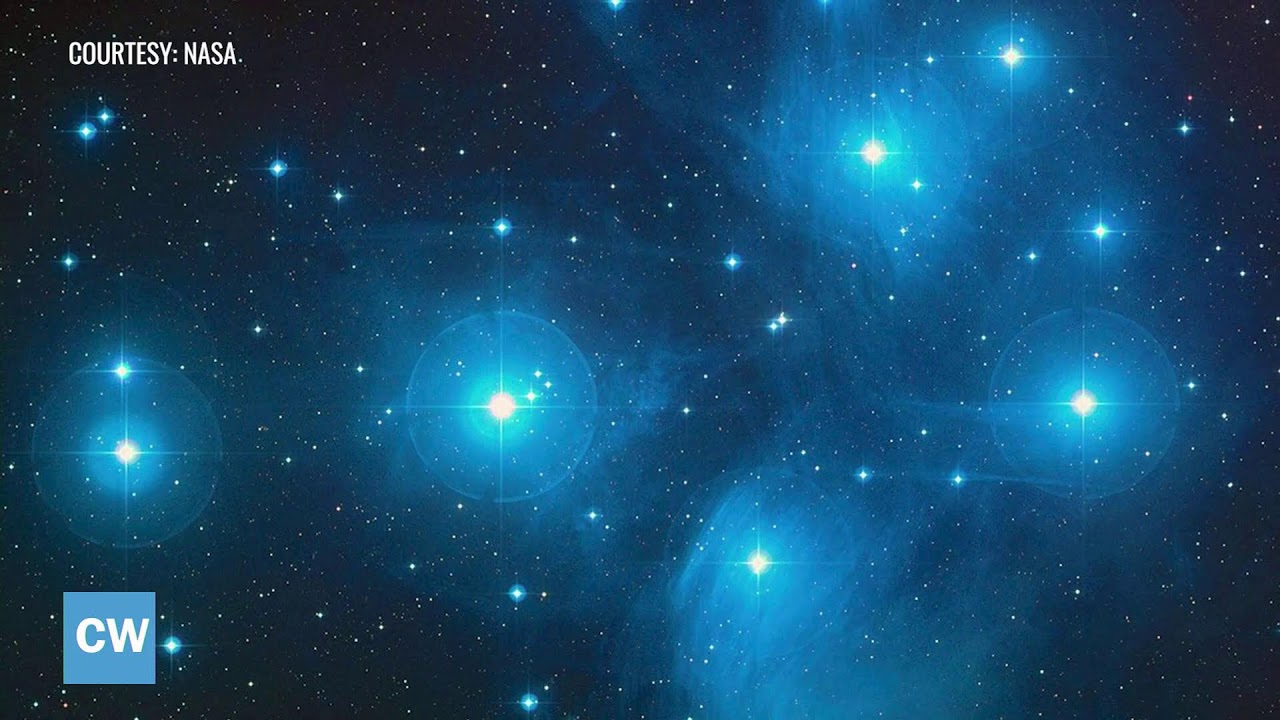 Carolina Week 2/4/2026