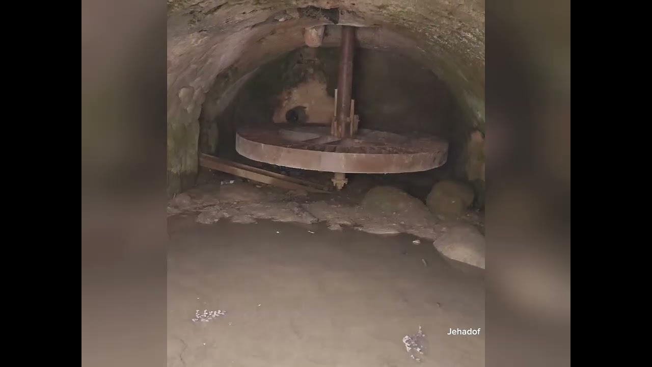 طريق ربيعي على الاول والشاص بالقرب من طاحونة عودة الاثرية - عجلون و اربد 022026#jordan  #jehadof   