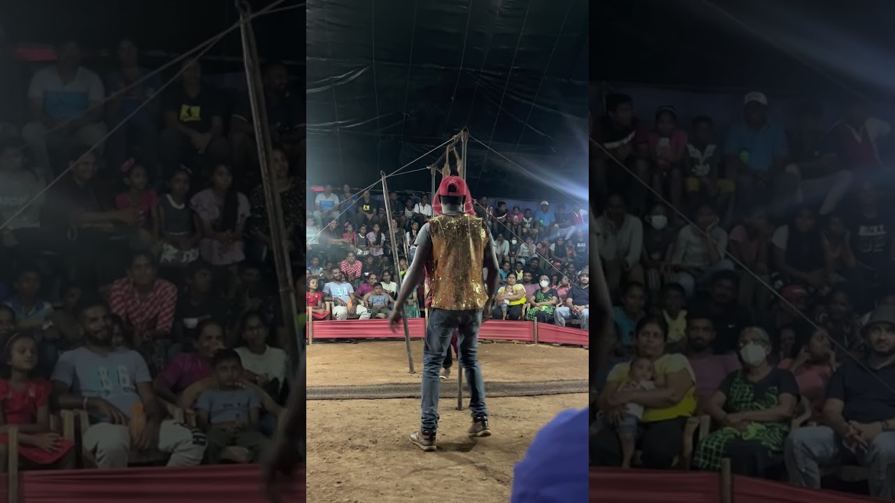 සර්කස් පැසිපියා 02