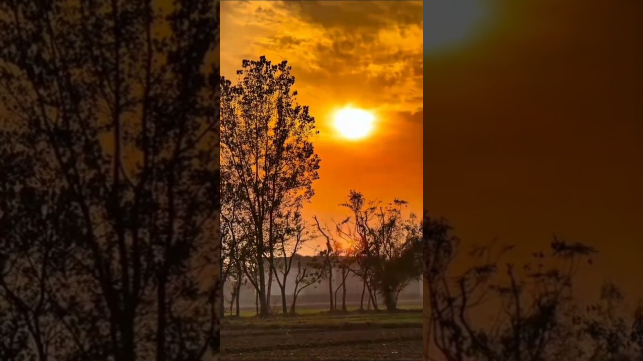 pashto song vira video 