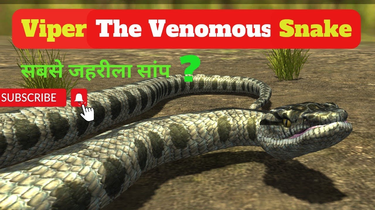 European Viper Snake || Common Adder || Vipera Berus 3D Animation || The Venomous Snake ||