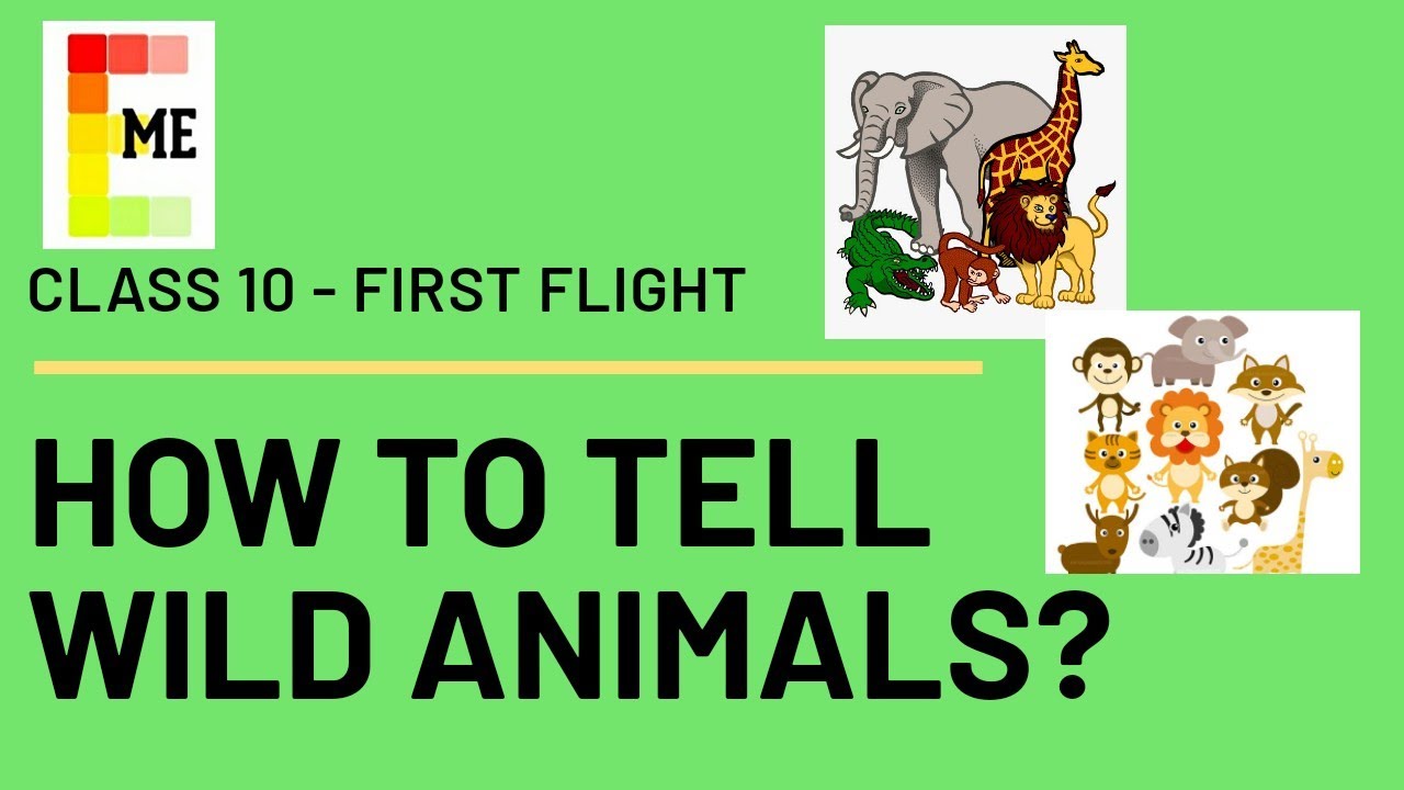 How to Tell Wild Animals? | Class 10 poem 4 explanation with poetic devices