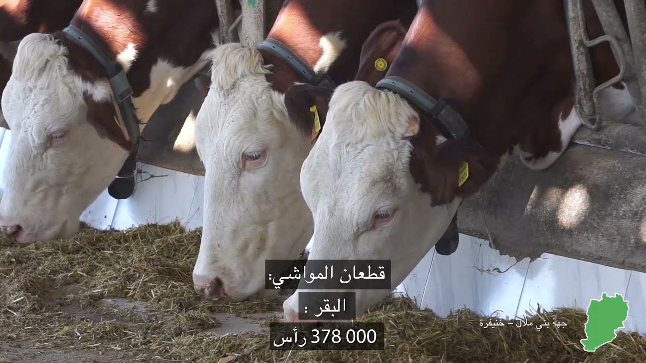 المؤشرات الفلاحية لجهة بني ملال خنيفرة