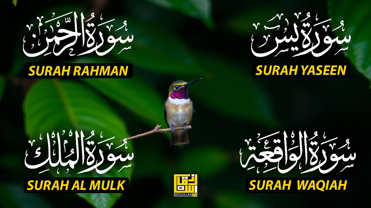 Beautiful Surah Yaseen (Yasin) | Surah Rahman | Surah Waqiah | Surah Mulk EP186