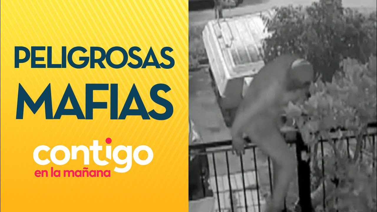 TRÁFICO Y VIOLENCIA: La peligrosa 