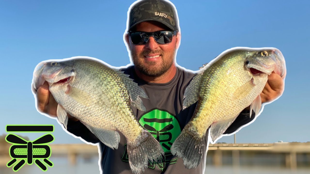 Where to Find CRAPPIE in the FALL 🐟🐟🐟  [🔥 Lake Ray Roberts🔥 ]