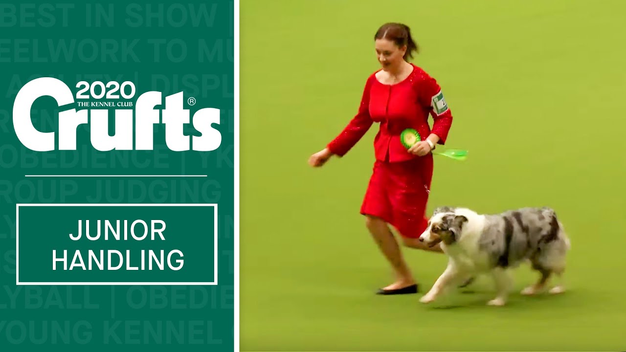 International Junior Handling Competition - Session 1- Part 2 | Crufts 2020