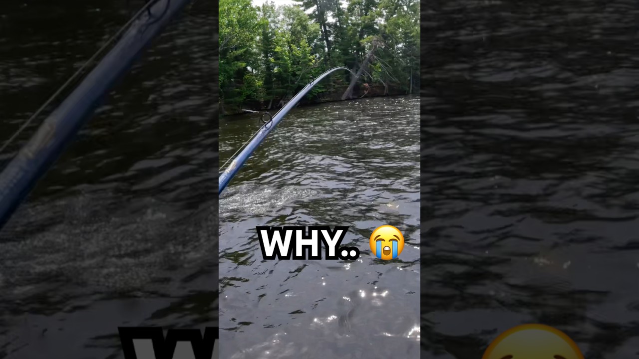EVERY TIME I GO FISHING..