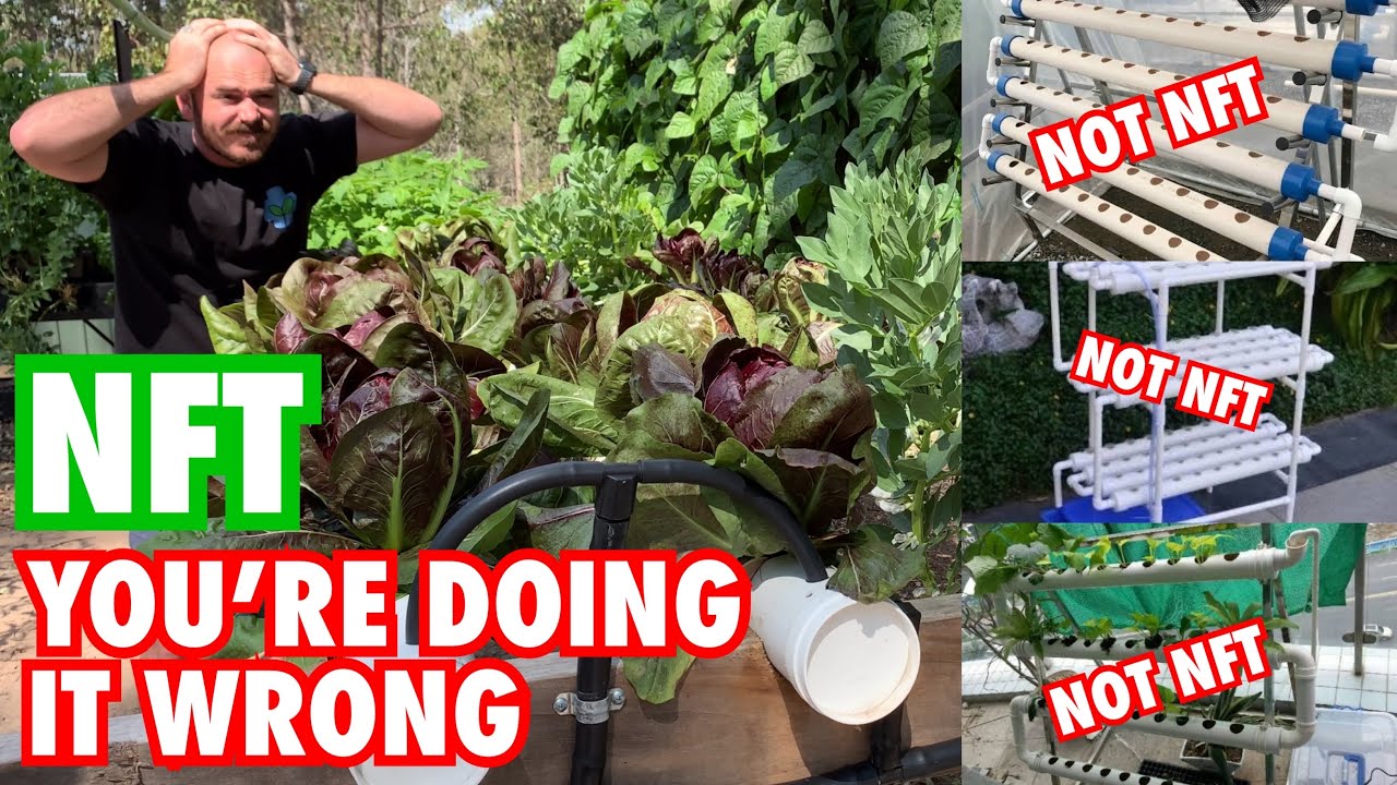 Nutrient Film Technique: You&rsquo;re Doing it Wrong!