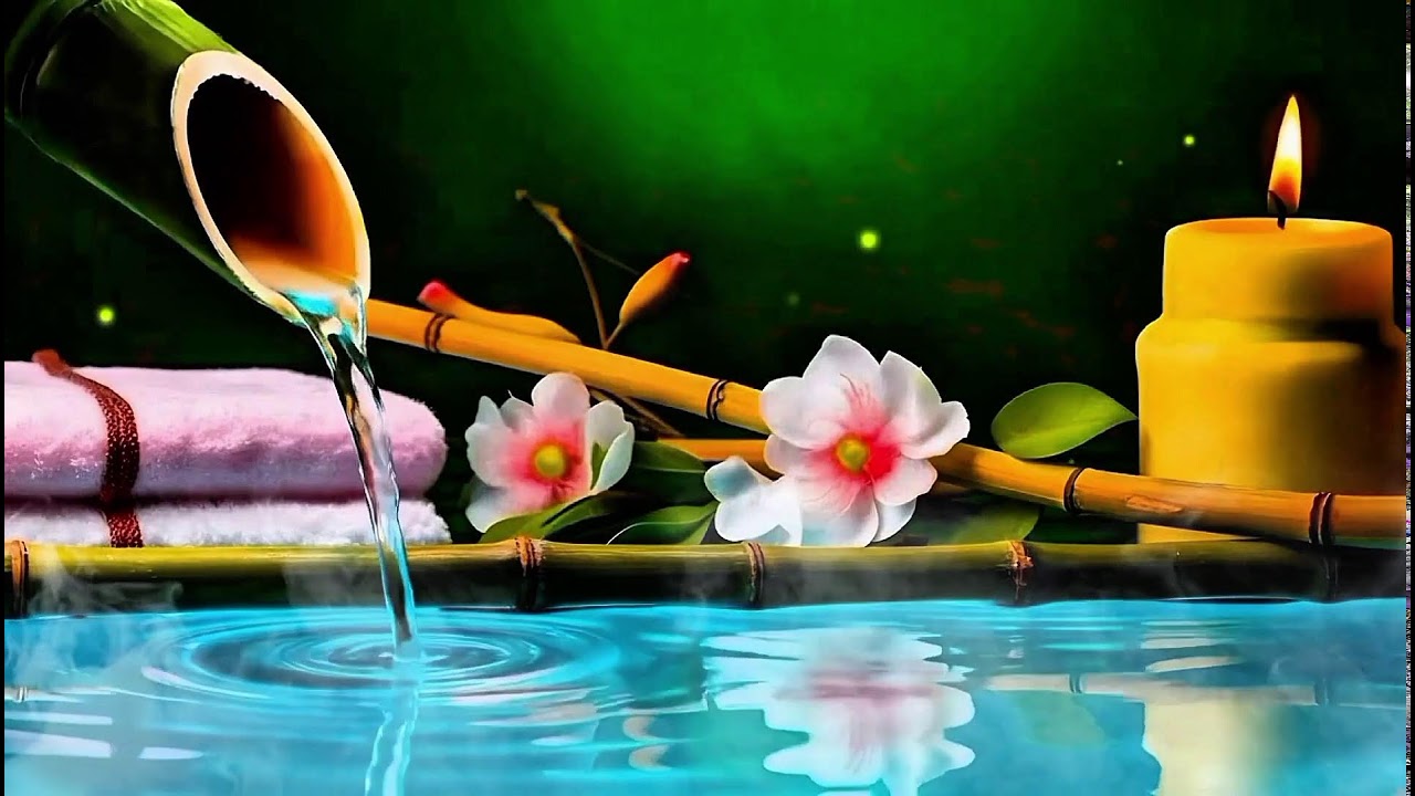 Mind Rest Music 🌿 Relaxing Meditation, Zen Spa & Stress Relief for Sleep