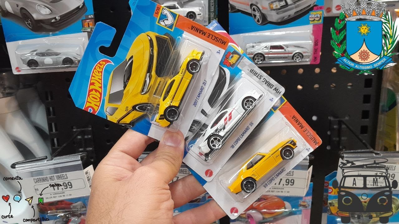 FUI CA&Ccedil;AR HOT WHEELS EM ARARAQUARA - SP